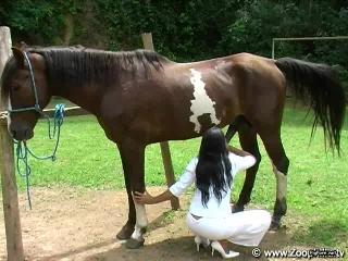 beauties share stallion s big dick
