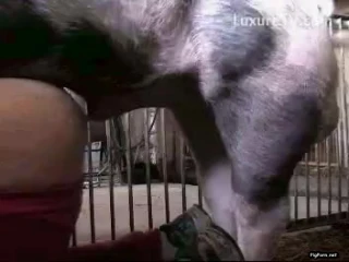 baby masturbating in a pig pen with live pigs
